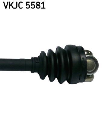 Cardã SKF VKJC 5581